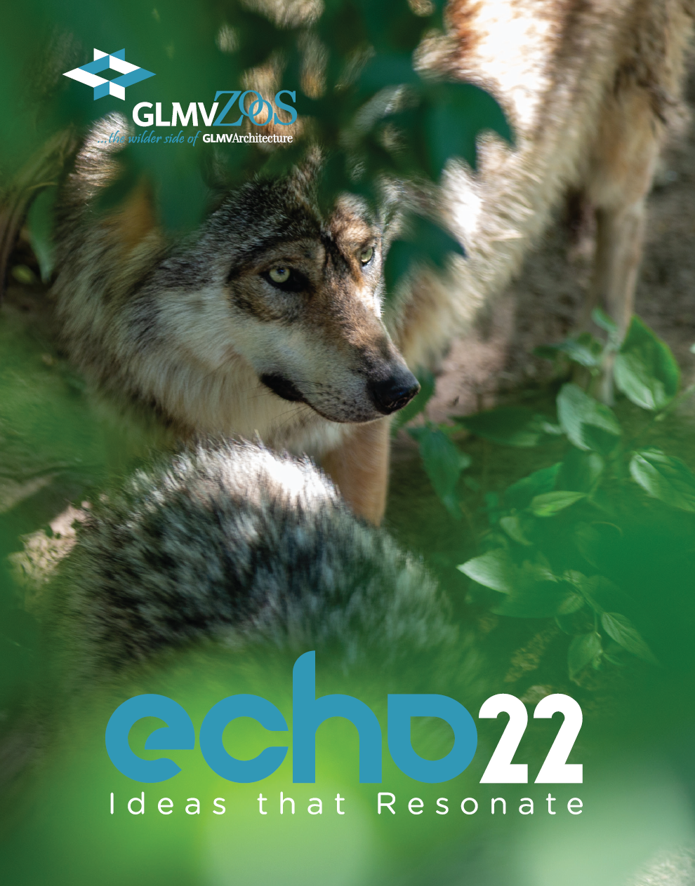 echo 22 cover